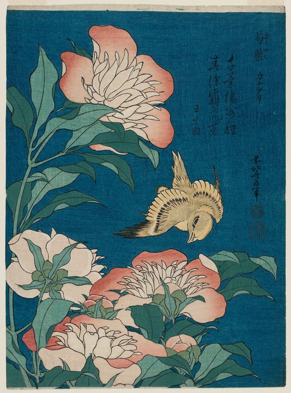 Estampe ukiyo-e Pivoines et canari de Hokusai, illustrant le canon floral japonais distinct du calendrier anglo-saxon