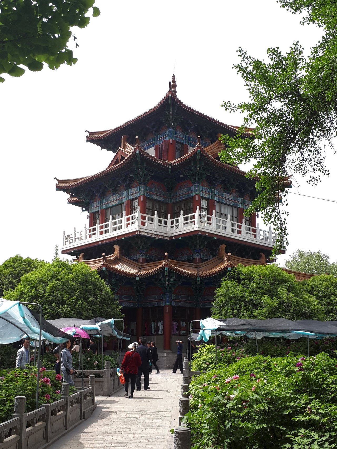 Festival de la pivoine de Luoyang au parc Wangcheng, 牡丹文化节, avril, ancienne capitale des Tang où mudan est célébrée chaque année depuis 1983