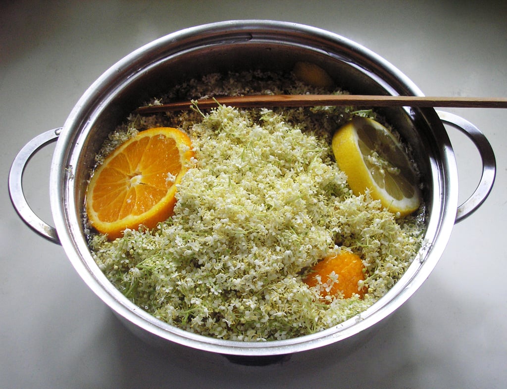 Bocal de macération de fleur de sureau (Sambucus nigra) en cours de préparation pour le sirop maison : ombelles fraîches, citron, sucre, illustration de la cueillette domestique et de la transformation immédiate.