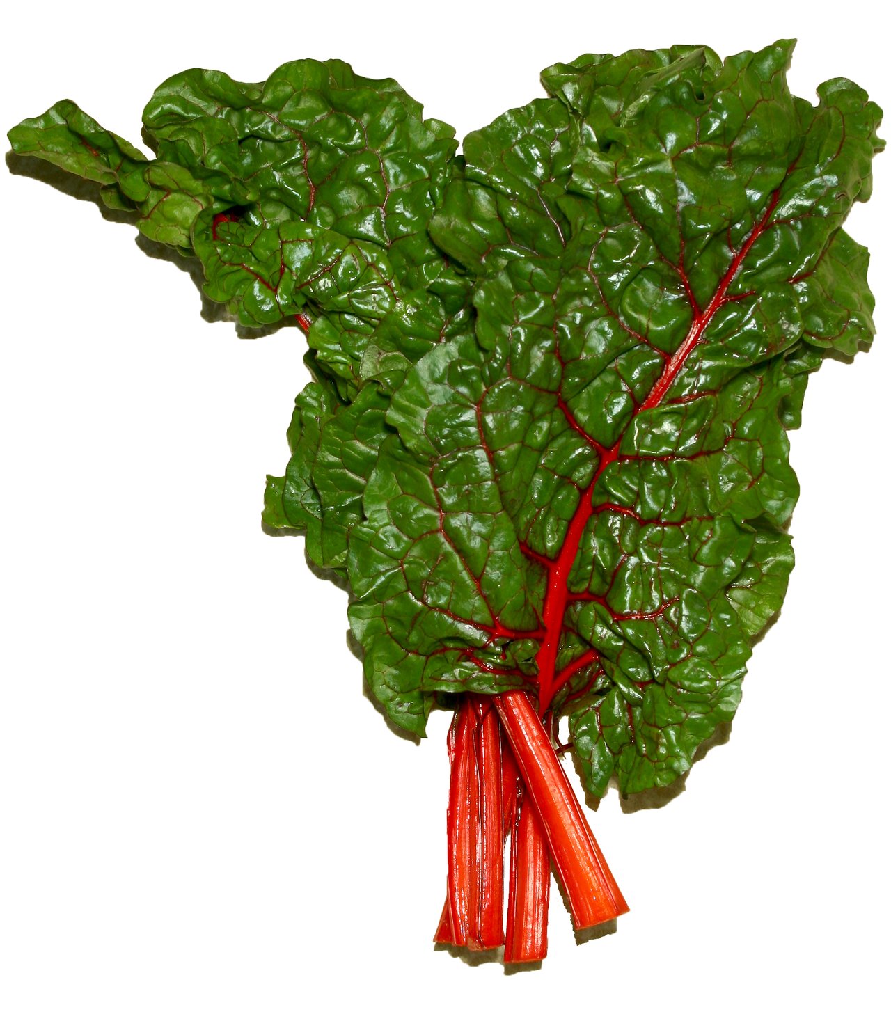 Červenostonkový mangold (Beta vulgaris subsp. vulgaris) s farebnými stonkami a tmavozeleným lístím