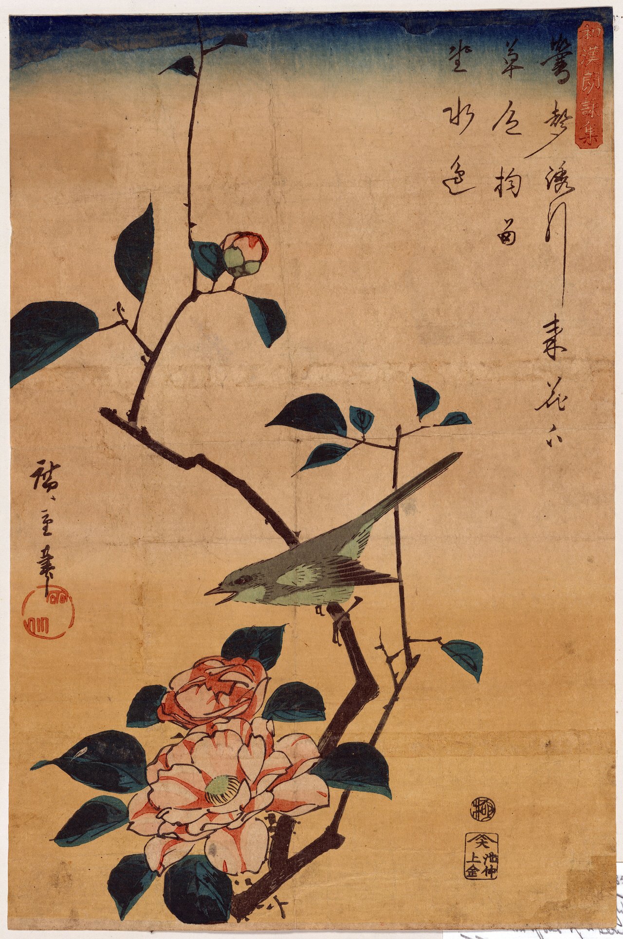 Utagawa Hiroshige, Tsubaki ni uguisu (camélia et rossignol du Japon), estampe ukiyo-e du XIXᵉ siècle, iconographie kachō-ga du tsubaki dans la tradition japonaise.