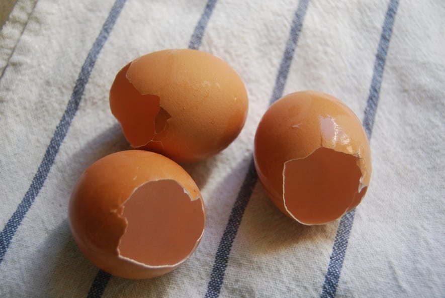 Coquilles d'œuf vides prêtes à être rincées et broyées