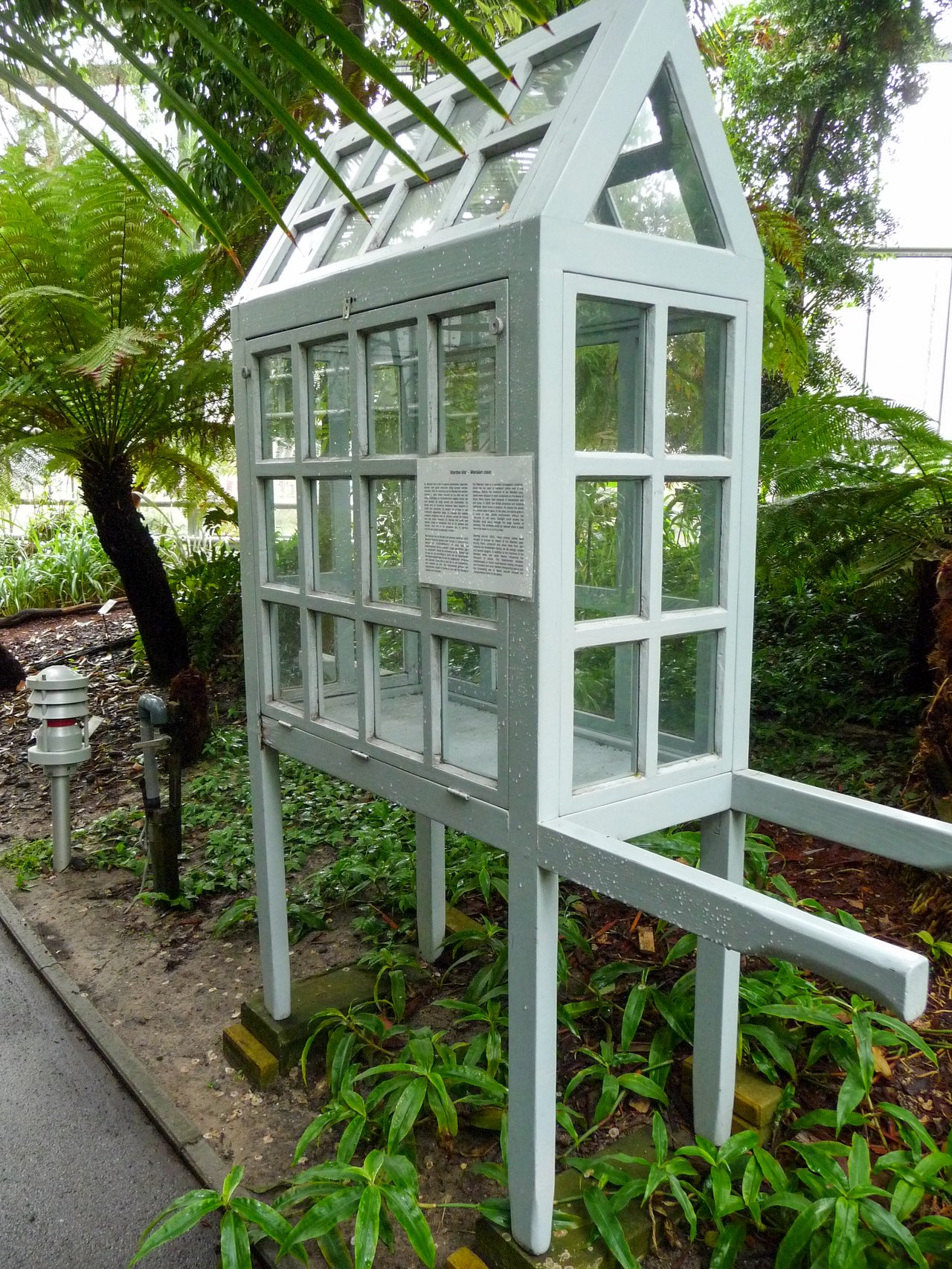 Stará Wardova skriňa na výstave v Hortus Botanicus v Amsterdame, svedok viacdekádnej životnosti