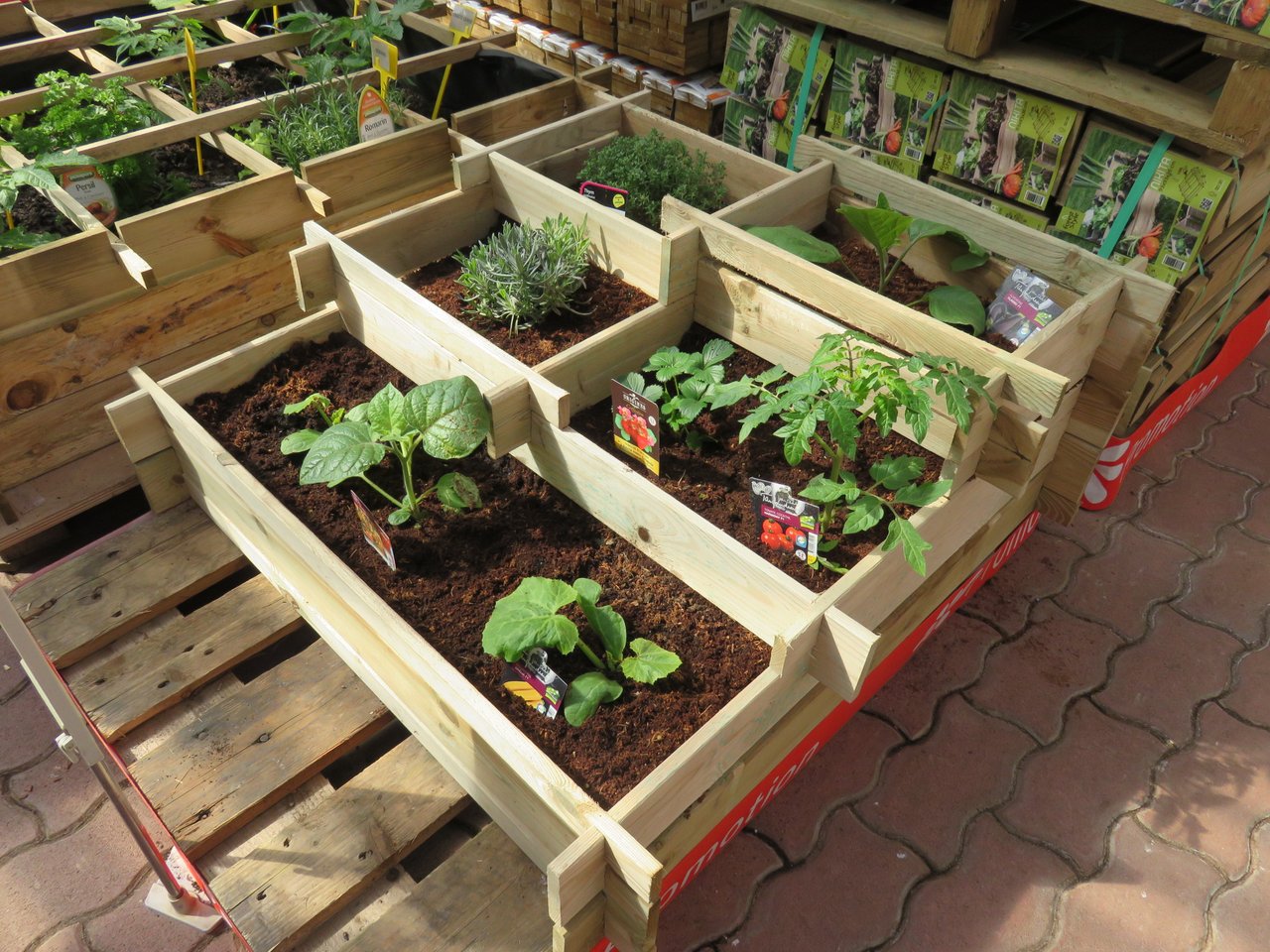 Carrés potagers en bois remplis de terreau brun frais, cases séparées par des planchettes et plantées de jeunes plants avec leurs étiquettes