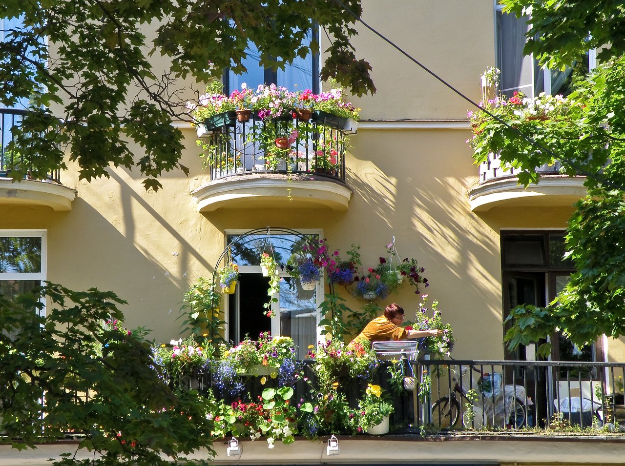 Balkon s dřevěným zábradlím přetékající kvetoucími truhlíky, hustá směs růžových a bílých petúnií a muškátů ve dvou patrech