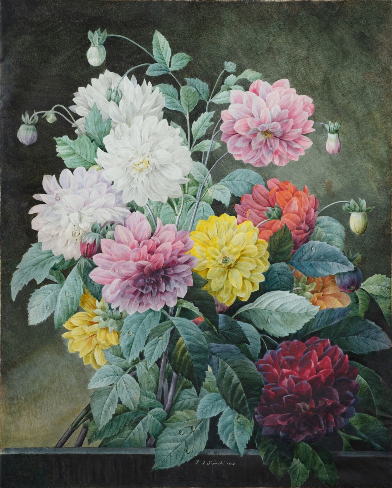 Bouquet multicolore de Redouté : roses, tulipes, iris, palette de couleurs et leurs significations florales
