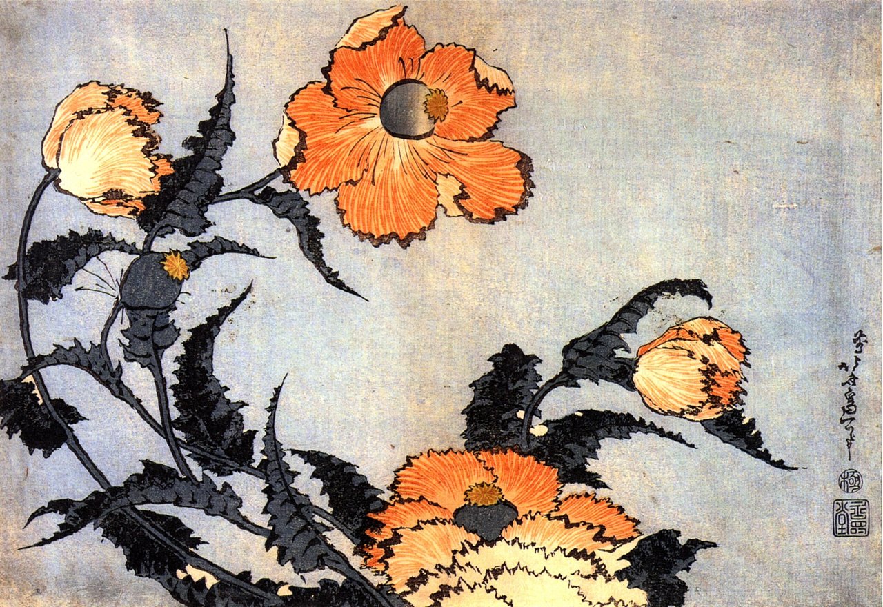 Vlčí máky namalované Kacušikou Hokusaiem 1760-1849, dřevoryt ukijo-e, obrazová kodifikace významu vlčího máku ヒナゲシ hinageši v Japonsku v ozvuku čínského mýtu o Jü Ťi 虞美人