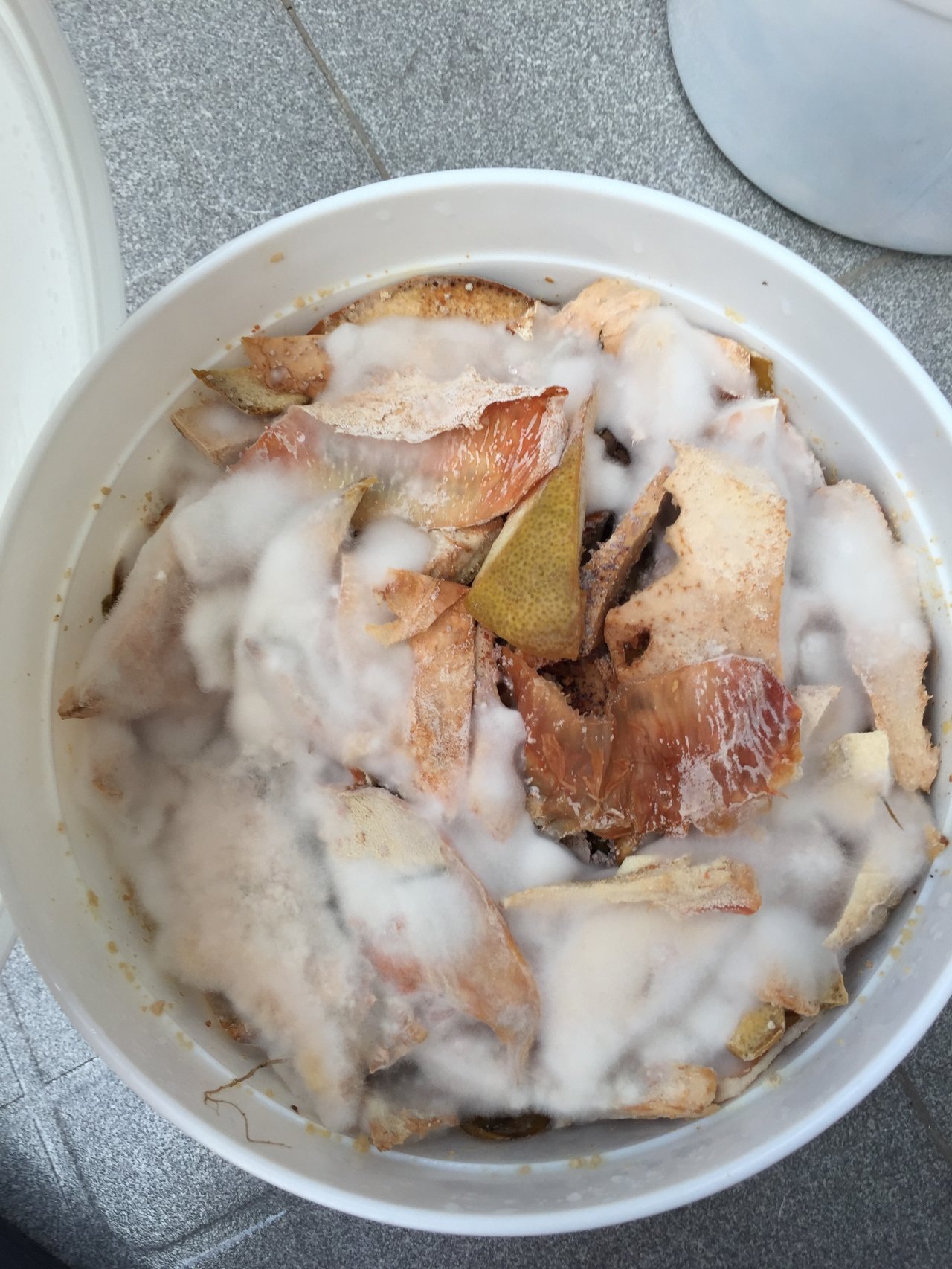 Contenu d'un seau bokashi en cours de fermentation anaérobie avec déchets de cuisine et bran inoculé EM