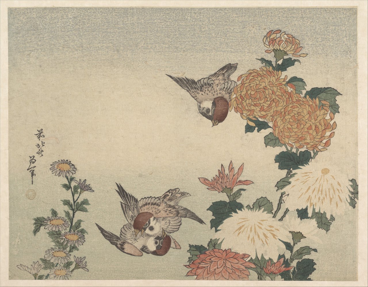 Katsušika Hokusai, Vrabci a chryzantémy (kolem roku 1825): dřevotisk ukijo-e tradice kačó-ga, z níž čerpá irezumi kiku, znak dlouhověkosti a císařské urozenosti