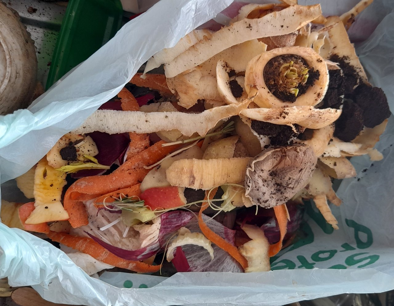 Sac biodégradable rempli d'épluchures de légumes et de marc de café, biodéchets de cuisine domestique