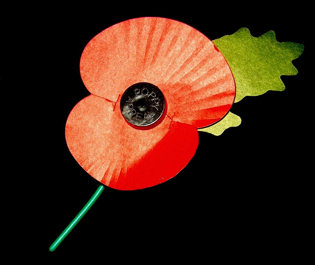 Papírový vlčí mák Royal British Legion, model rozdávaný každý listopad při Poppy Appeal od roku 1921, oficiální pamětní znak Commonwealthu pro Den příměří