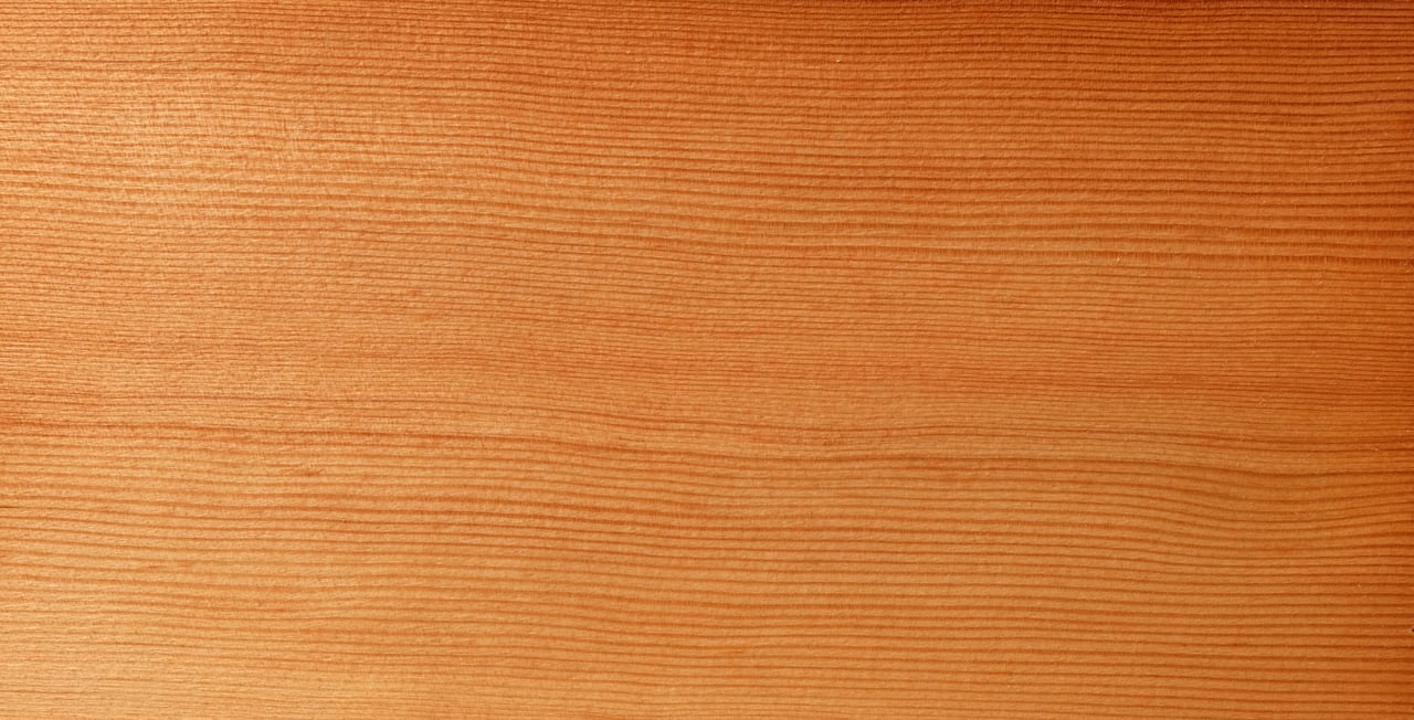 Veine de bois de douglas huilé, surface non poncée, texture caractéristique cœur rougeâtre et aubier clair de l'essence FCBA classe 3.