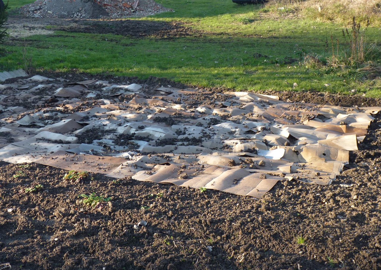 Cartons posés à plat sur le sol et lestés de mottes de terre : derrière eux la pelouse est encore verte et intacte, devant eux la terre est déjà nue et retournée, la limite entre la zone occultée et la zone non traitée traverse tout le cadre