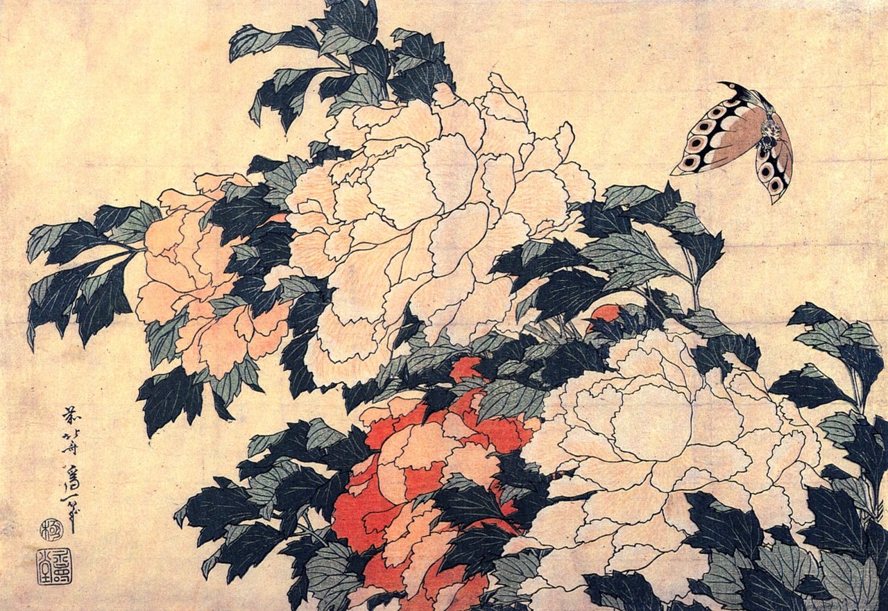 Pivoines et papillon de Katsushika Hokusai, estampe ukiyo-e série Grandes fleurs circa 1833-1834, codification picturale de la signification de la pivoine botan au Japon