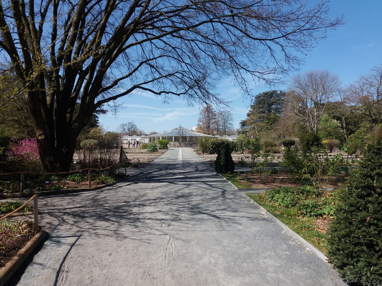 Allée du jardin botanique de Lyon entre l'orangerie et la grande serre ronde dans le Parc de la Tête d'Or