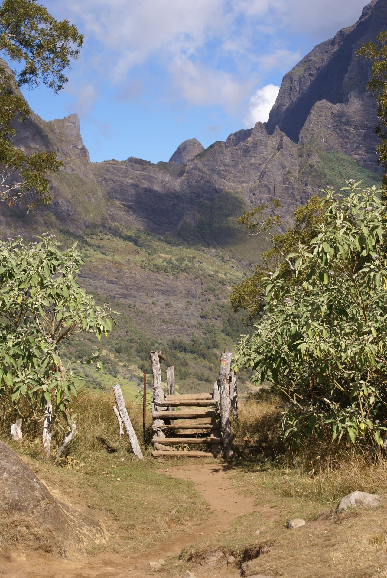 Sentier botanique entre la Plaine des Tamarins et Marla dans le cirque de Mafate à La Réunion, contexte tropical où le calendrier des fleurs de naissance s'inverse par rapport à la métropole