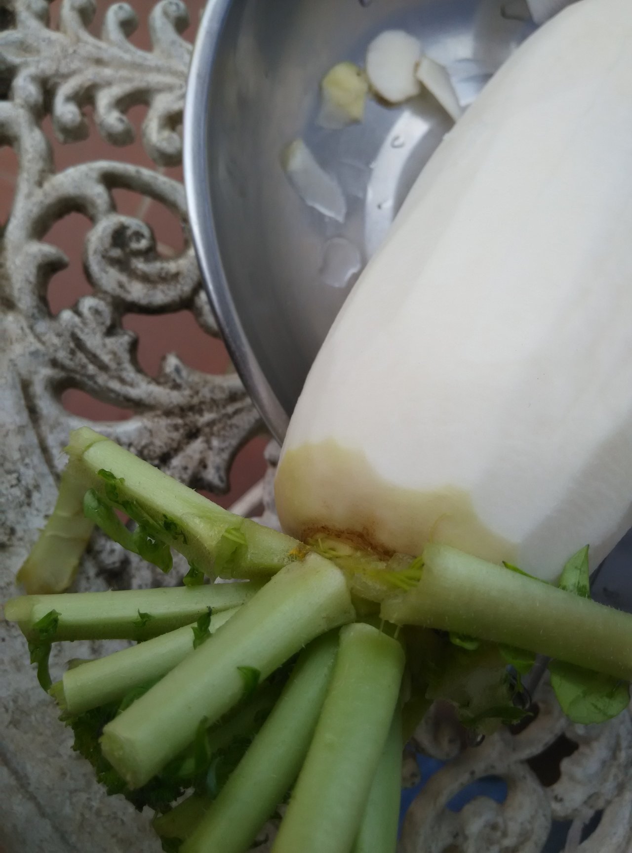 Racine longue de radis daikon (Raphanus sativus var. longipinnatus) à peau claire, radis d'hiver