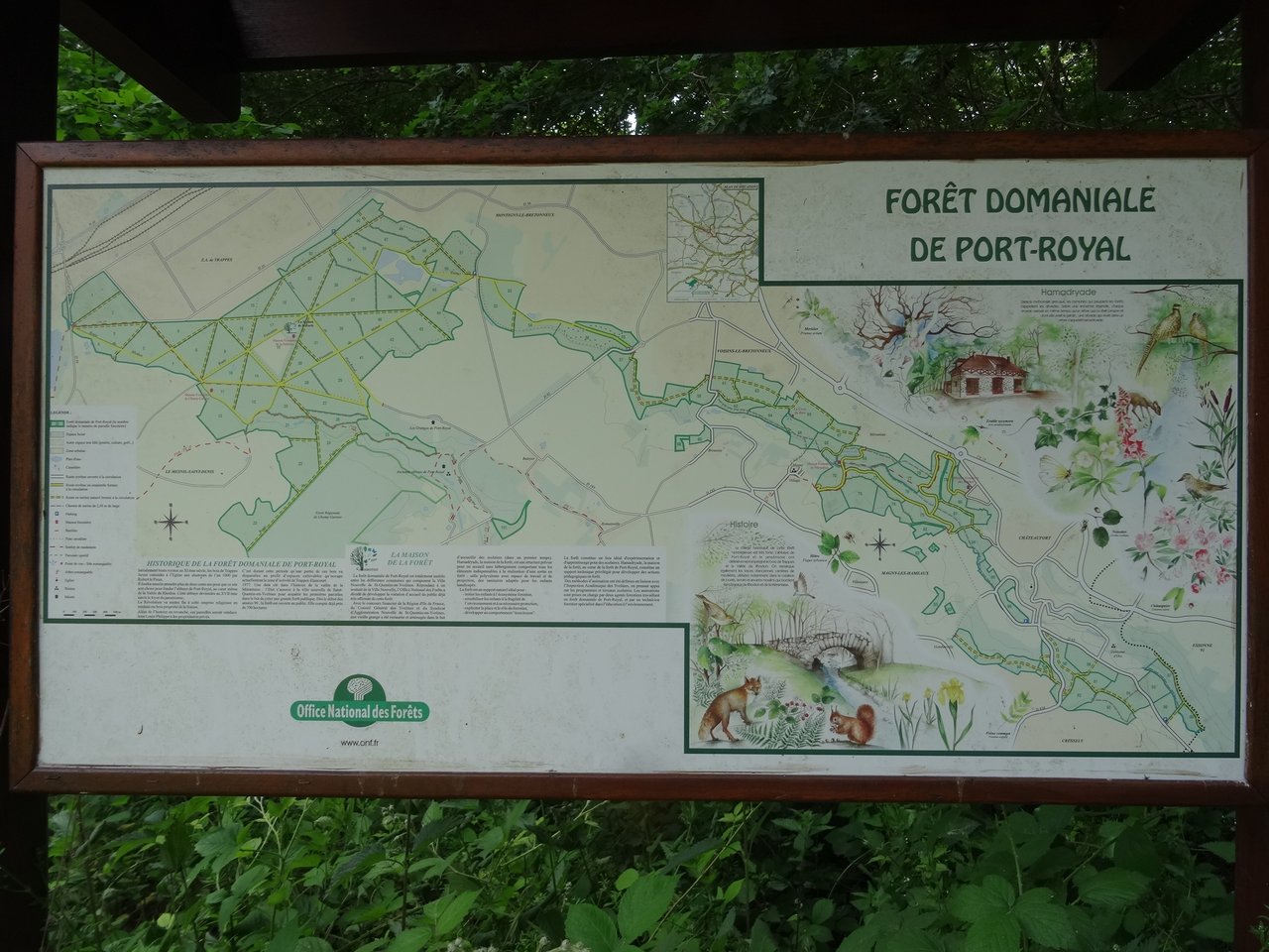 Panneau de l'Office national des forêts en lisière de forêt domaniale de Port-Royal, signalant l'entrée d'une forêt publique soumise au Code forestier.
