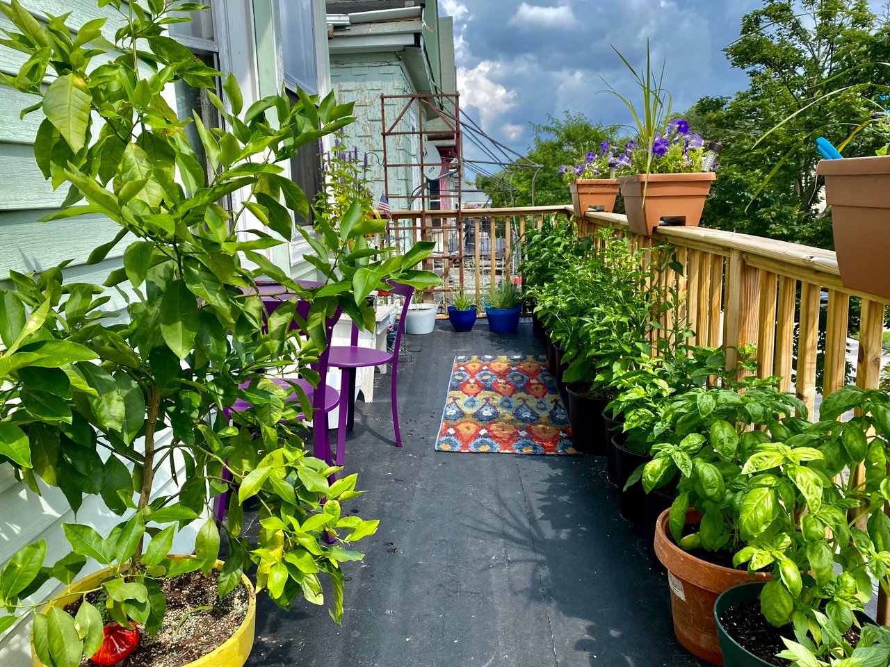 Jardin potager dense sur balcon d'appartement urbain au deuxième étage, pots et bacs alignés sur la rambarde, charge concentrée le long de la dalle.
