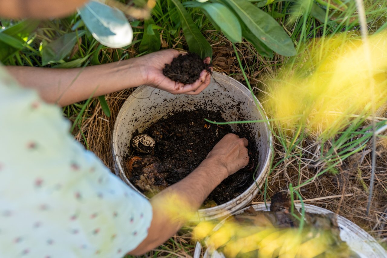 Mains gantées récoltant du lombricompost mûr depuis un seau de 20 litres pour l'épandre dans un potager
