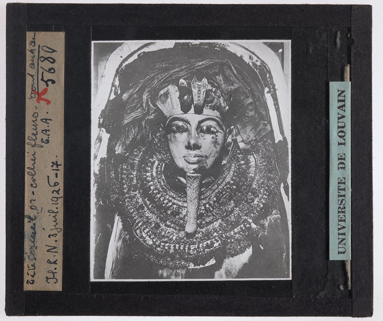 Vallée des Rois : chambre funéraire de Toutânkhamon (KV62), momie portant le masque funéraire et la couronne florale autour du cou, scène dans laquelle Howard Carter identifia en 1922 des fleurs de bleuet, preuve archéologique de l'usage cérémoniel du bleuet en Égypte du Nouvel Empire vers 1323 av. J.-C.