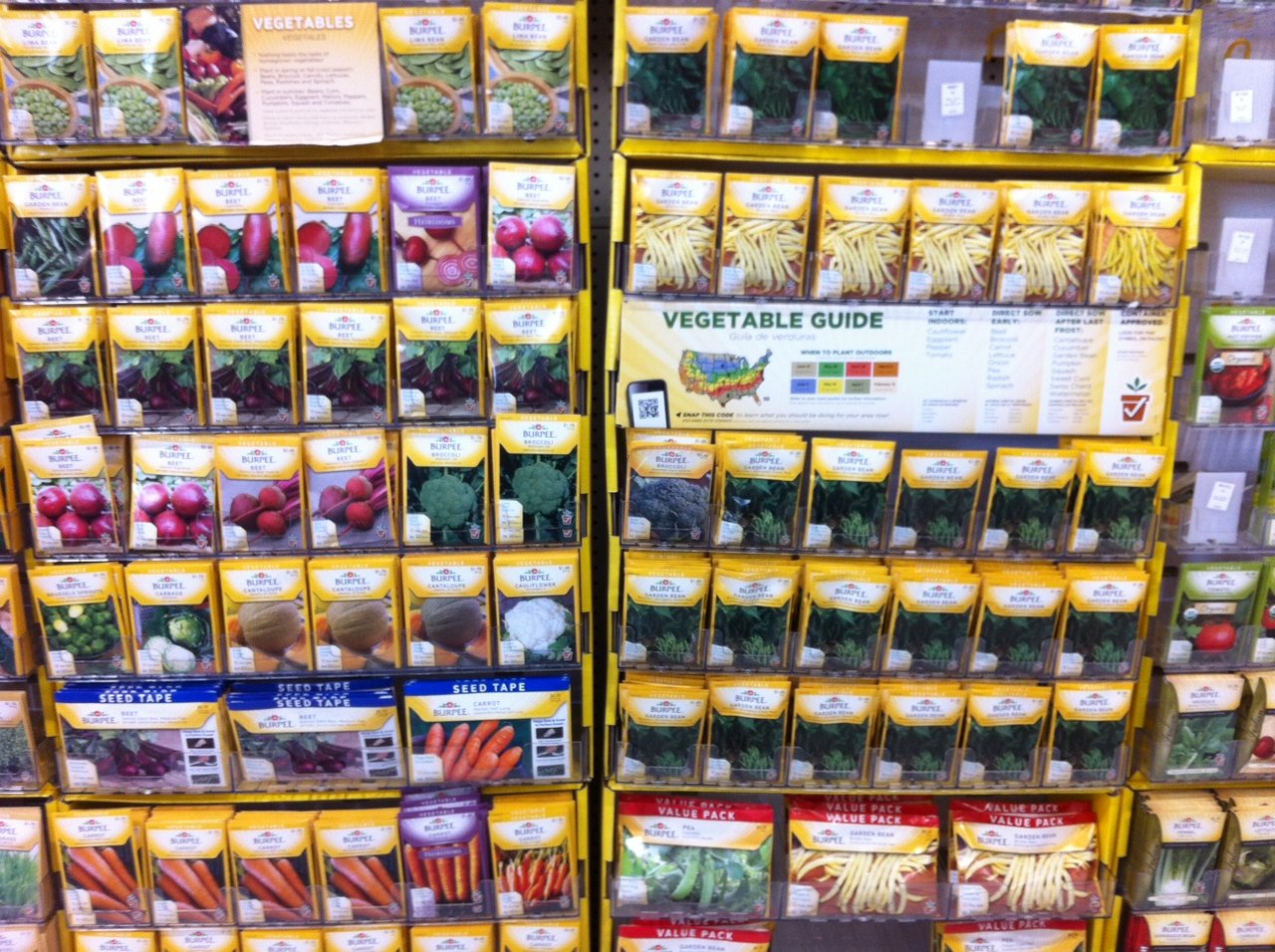 Sachets de graines potagères variées étalés à plat, illustrant la décision quotidienne du jardinier sur la durée de viabilité au sachet