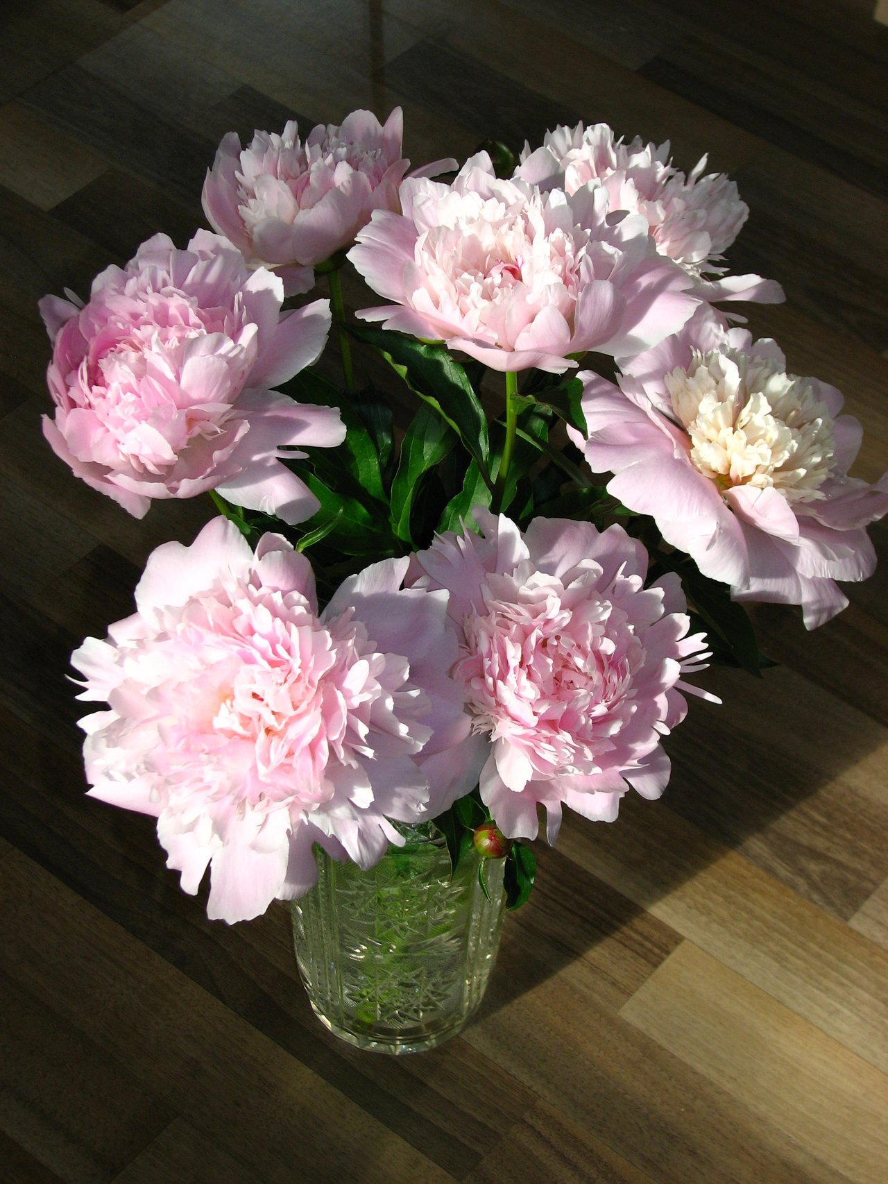 Bouquet de pivoines roses, usage typique des noces de pivoine pour le 12e anniversaire de mariage dans le calendrier français des noces