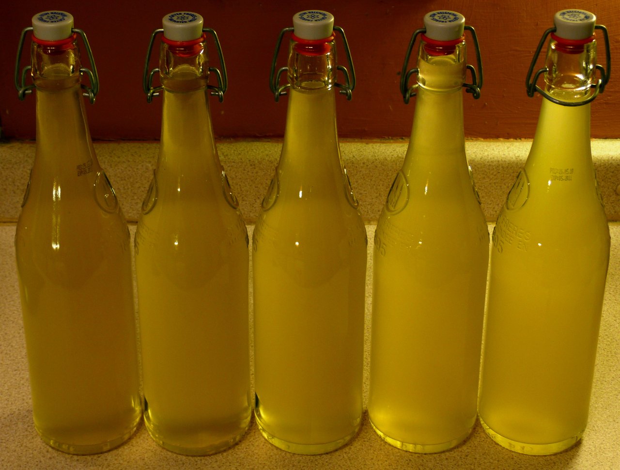 Bouteilles de sirop de fleur de sureau ambré mises en bouteille après filtrage, prêtes pour la stérilisation et la conservation