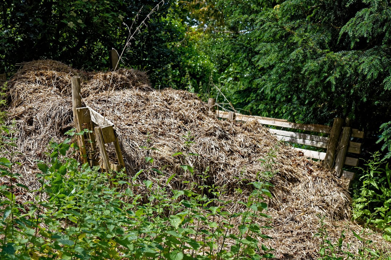 Composteur en bois adossé au mur d'un potager clos, installation de compostage domestique