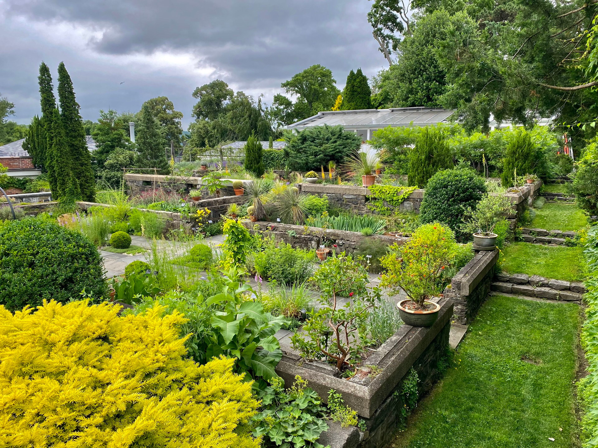 Jardin sec méditerranéen en plein soleil, massifs de vivaces et d'aromatiques sur sol drainant sous une lumière estivale