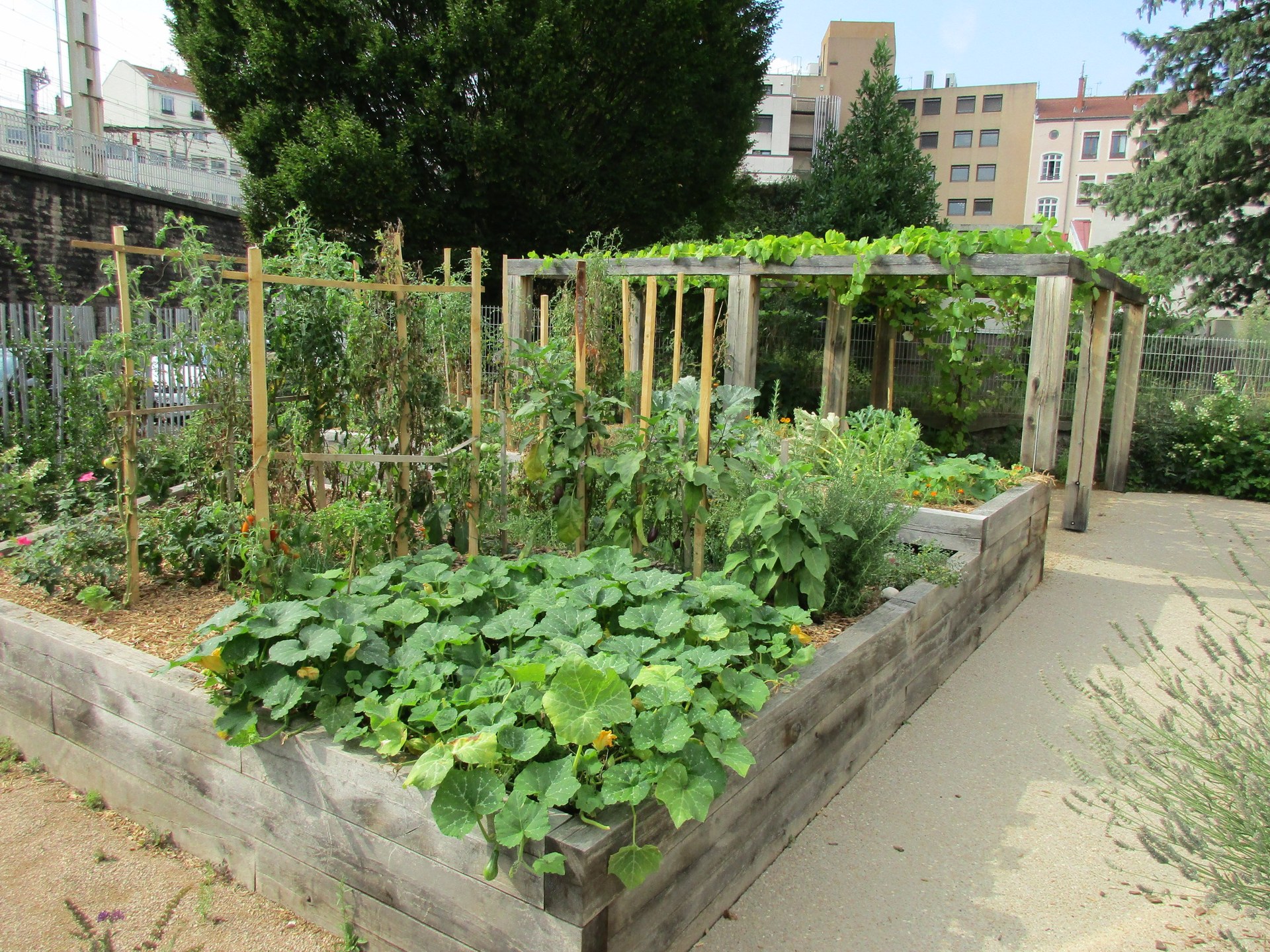 Potager en carré : planche de 1,20 m divisée en cases de 30 cm plantées de légumes variés, tomates tuteurées et treillis dans un jardin