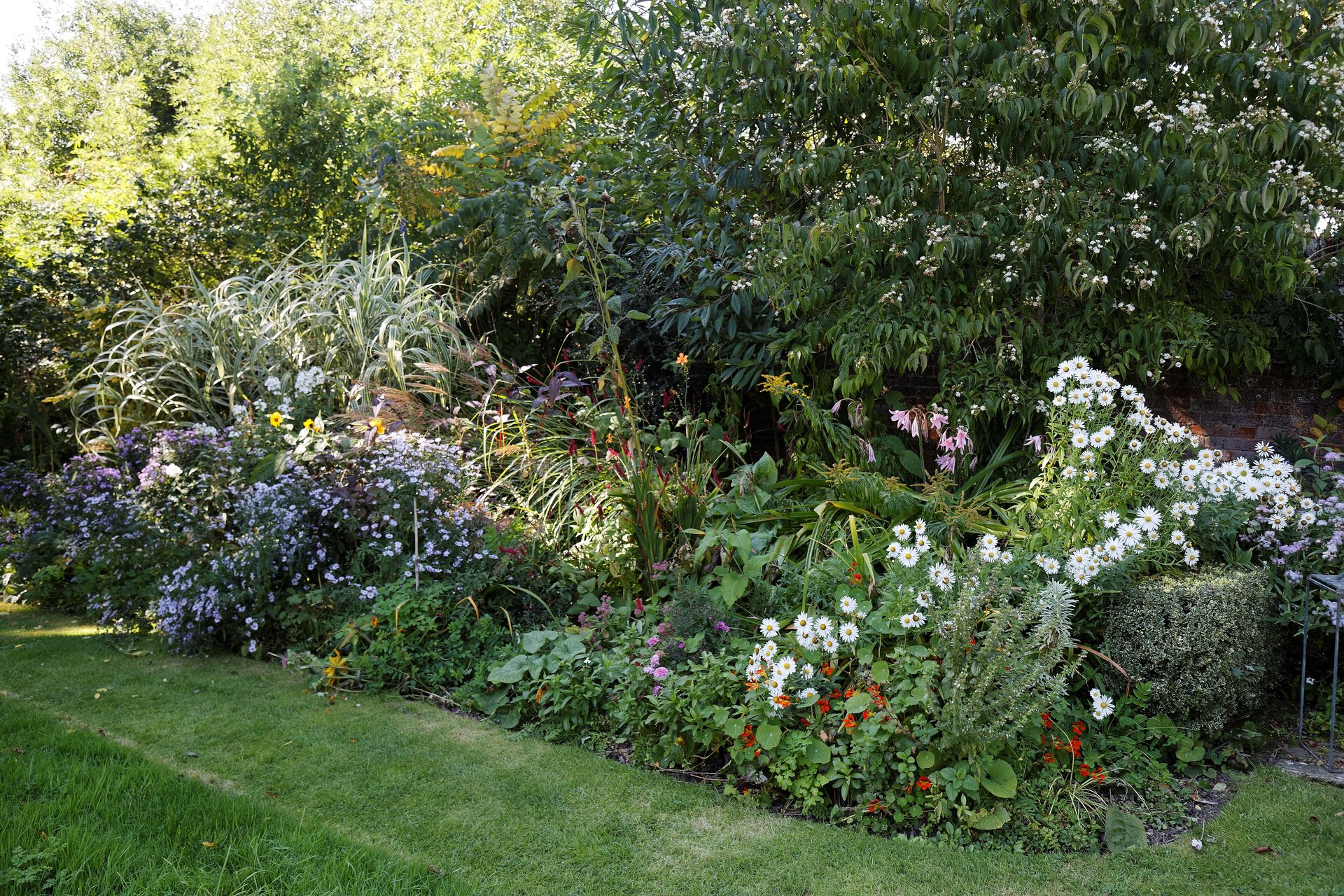 Massif fleuri mixte dans un jardin anglais, exemple d'une exposition lumineuse bien plantée
