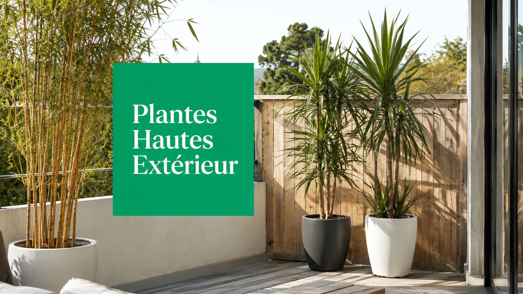 Plantes hautes en pot sur une terrasse, formant un écran végétal devant un mur clair