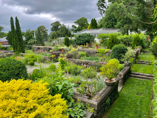 Jardin sec méditerranéen en plein soleil, massifs de vivaces et d'aromatiques sur sol drainant sous une lumière estivale