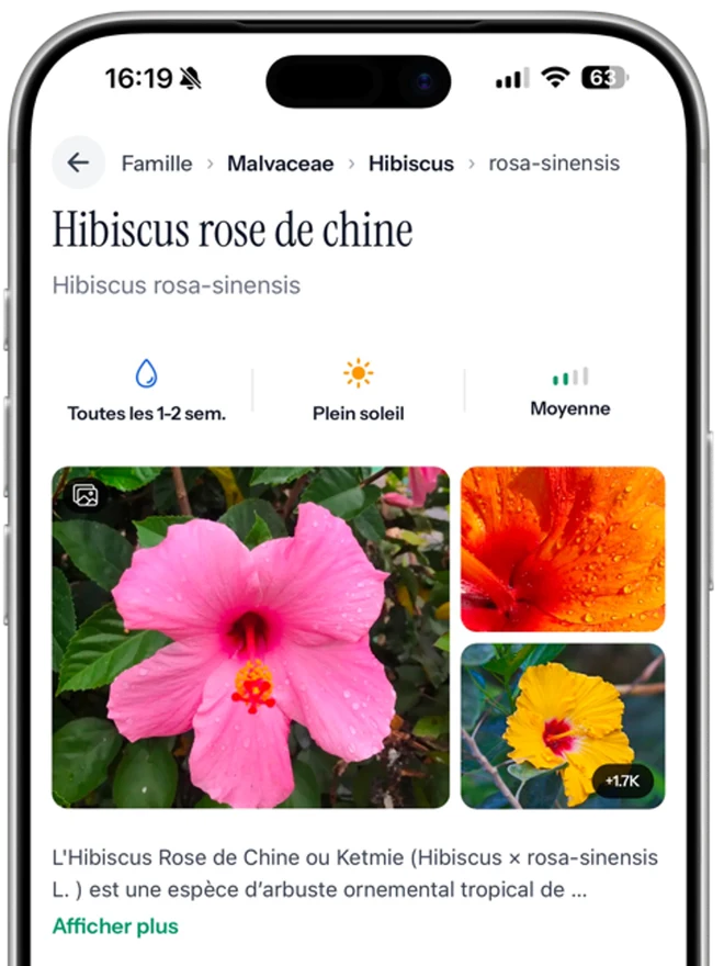 Kasvin tunnistus Floralensilla