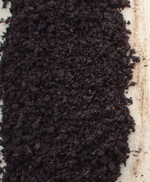 Lombricompost mature granuleux et brun foncé fraîchement récolté, texture de turricules de vers