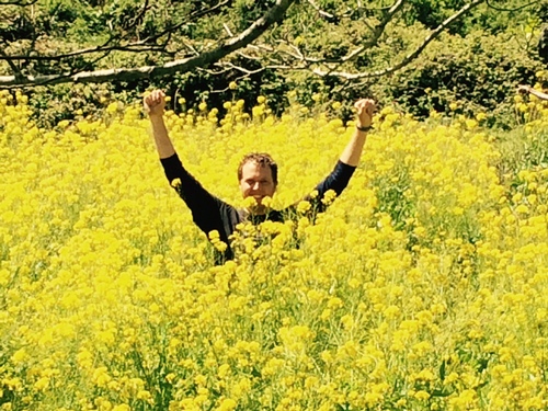 Brassica rapa — photo 2